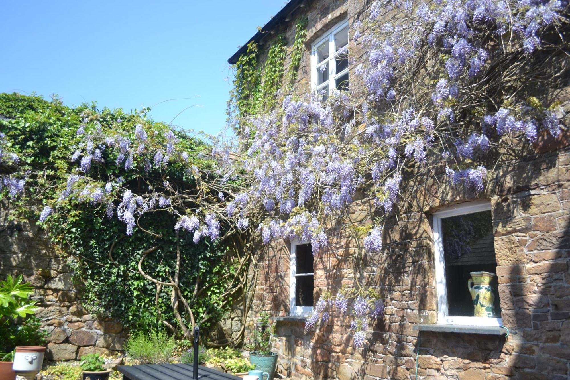 The Old Police Station Villa Hatherleigh Esterno foto